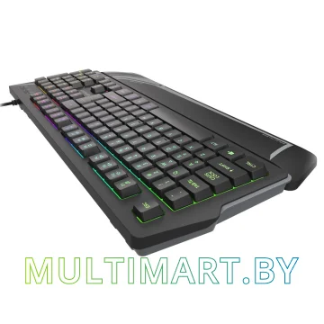Клавиатура Genesis Rhod 350 RGB картинка 8